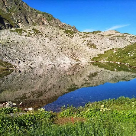 L Edelweiss Et Sa Piscine *