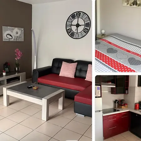 公寓 L Edelweiss Et Sa Piscine 阿尔贝维尔