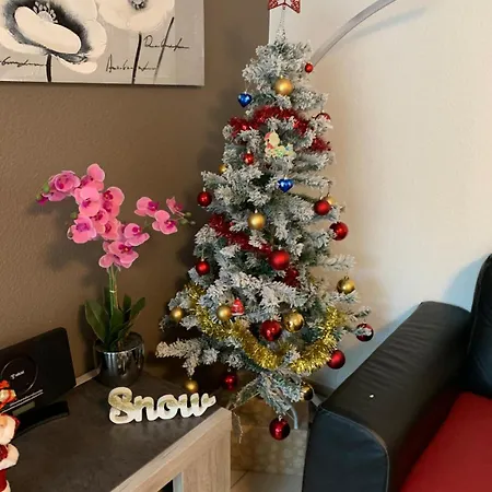 L Edelweiss Et Sa Piscine 公寓 阿尔贝维尔