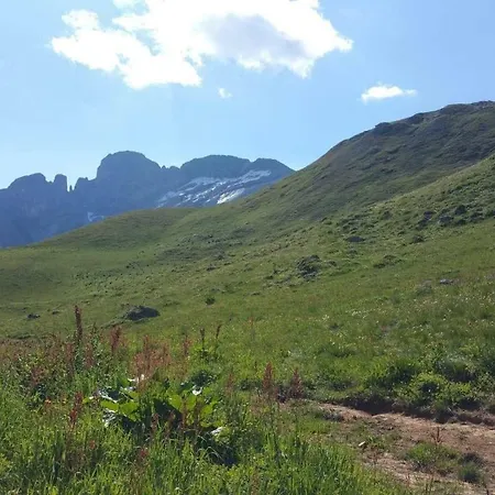 L Edelweiss Et Sa Piscine 公寓